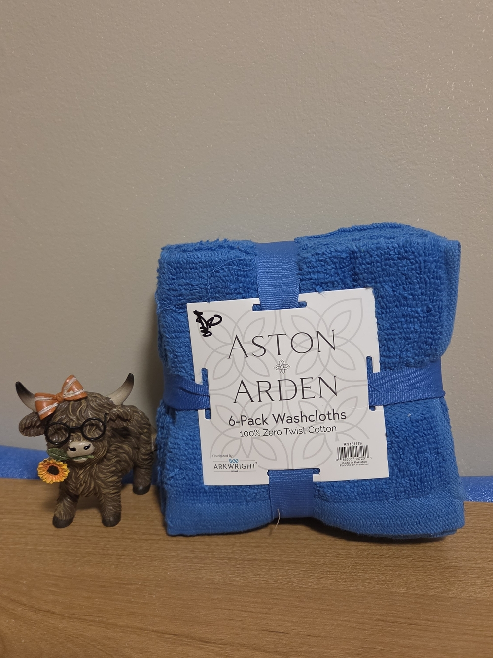 Aston Arden Blue 6-Pack Cotton Washcloths